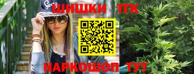 индика Татарск