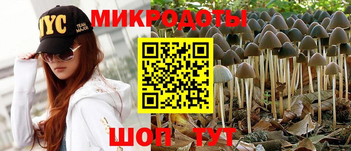 Галлюциногенные грибы Cubensis  Галлюциногенные грибы мухоморы  Вход с VPN  Пенза 